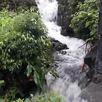 Casa Do Norte Дом отдыха *