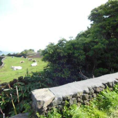 Дом отдыха Casa Do Norte Prainha de Cima