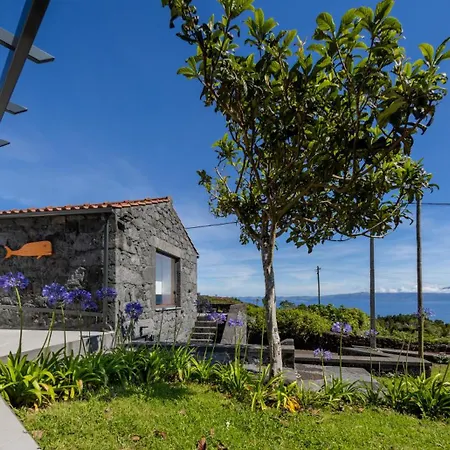 Casa Do Norte