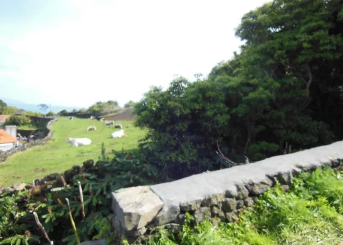 Ferienhaus Casa Do Norte Prainha de Cima